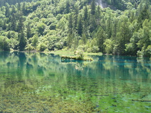 山间碧湖 自然静谧之景