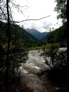 山间溪流 自然美景