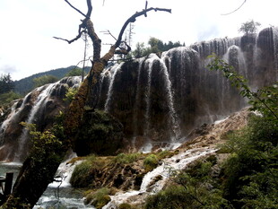 枯树旁的壮美瀑布景观