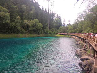 九寨沟秀丽湖水栈道景
