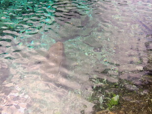 水面波动的光影涟漪