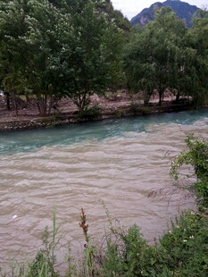河畔风景 河水与葱郁树木