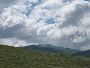 山间云海 绿意盎然