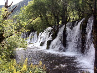 山间瀑布 绿意环绕的美景
