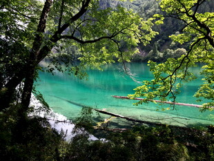 九寨沟的绝美清澈湖水