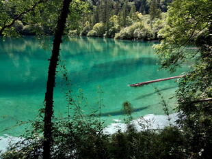 翠绿山林间的澄澈幽蓝湖水