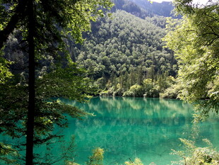 翠绿山林间的澄澈碧湖