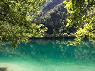 翠绿山林环抱的澄澈湖水