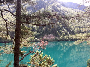 山间碧湖映翠林