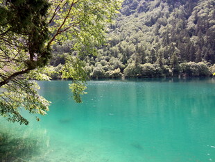 翠绿山林间的澄澈湖水