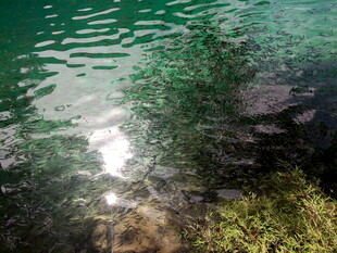 清澈湖水与水底景致