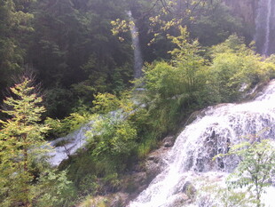 山间瀑布旁的葱郁绿植