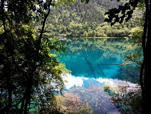 森林中的梦幻蓝湖