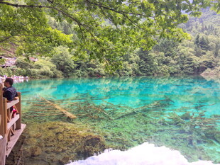 清澈湖畔的游人观景时刻