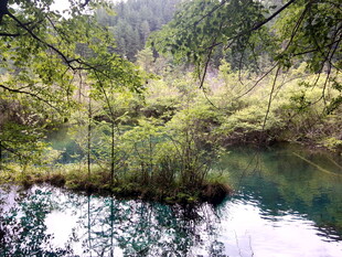 山林间的静谧清澈水域