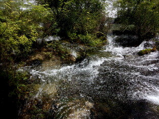 山间溪流潺潺的自然美景