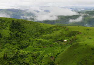 山间绿野云雾缭绕美景