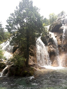 山间瀑布旁的葱郁树木