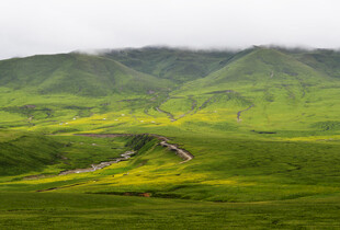 山间绿野中的蜿蜒道路