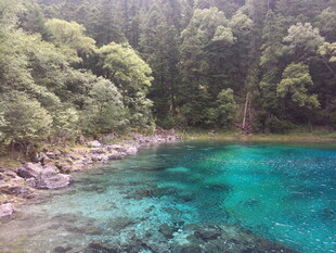 清澈碧绿的山林湖畔风光