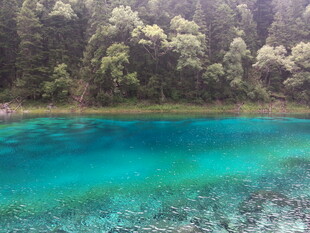 梦幻蓝湖 森林环绕之美景