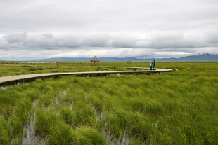 草原木栈道上的自然美景