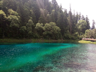 翠绿山林环绕的幽蓝湖水