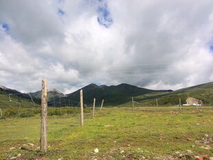 草原上的木桩与远山风景