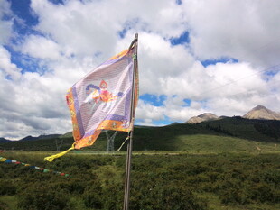 草原上飘扬的彩色经幡