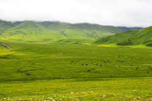 广袤绿野 山峦隐现