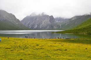 湖畔黄花与远山美景