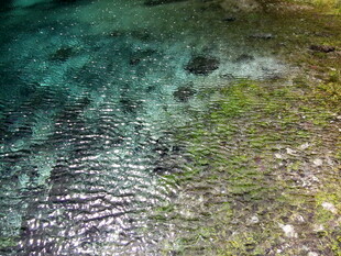 清澈水底的斑斓景象