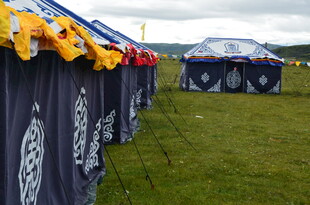 户外露营帐篷排列场景