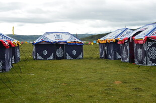 户外展示的多辆酷炫汽车