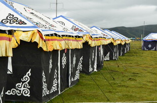 草原上的特色蒙古包阵列