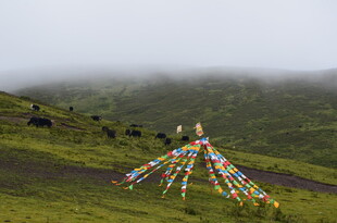 草原上的五彩经幡