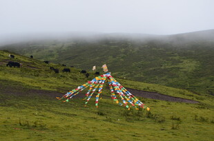草原上的彩色经幡