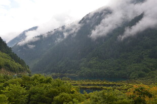 云雾缭绕的山间绿野风光