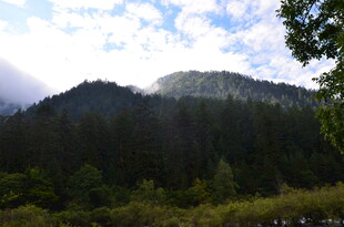 山林云雾缭绕的自然美景