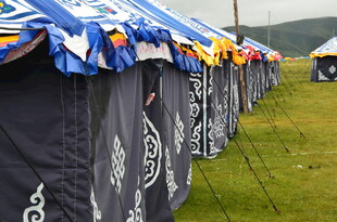 草原上的藏式帐篷阵列