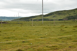 草原风光 远处矗立风力发电机