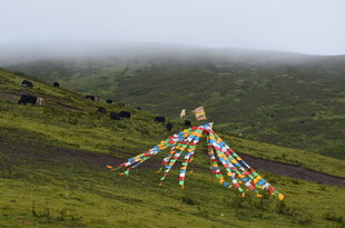 山间经幡 尽显藏地风情