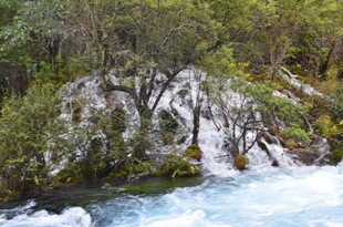 山间溪流旁的嶙峋岩石