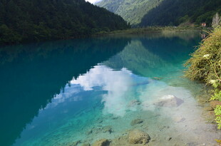 梦幻蓝湖映山林美景