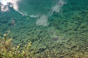 俯瞰翠绿山林美景