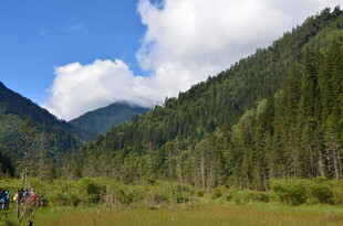 山间绿野 漫步自然美景