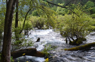 山间溪流的自然景致