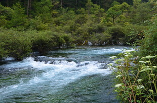 山间溪流 灵动自然之景