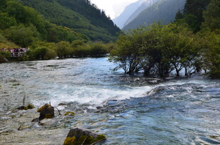 山间湍急溪流 绿意环绕
