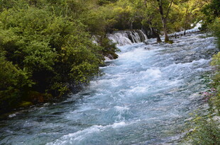 山间溪流潺潺 绿意环绕